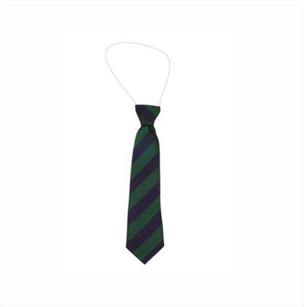 St Ann's C of E Elastic Tie